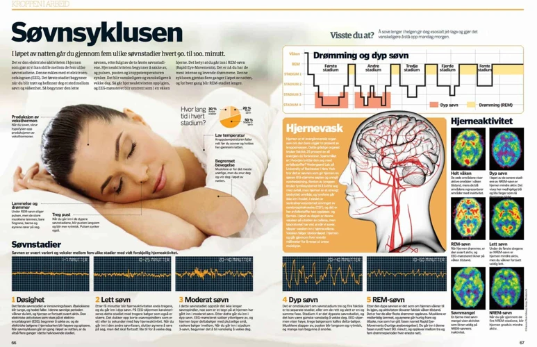 Hva Er Rem-Søvn Og Drømmer?