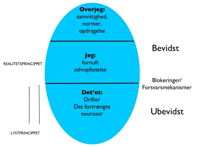 Hvem Var Carl Jung?