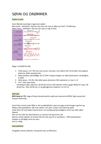 Hvordan Er Rem-Søvn Relatert Til Drømmer?