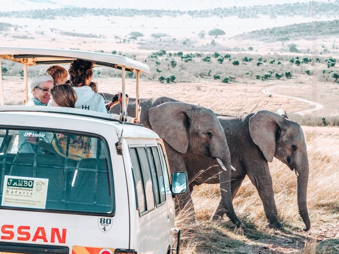 Hvorfor Afrikanske Kulturer?