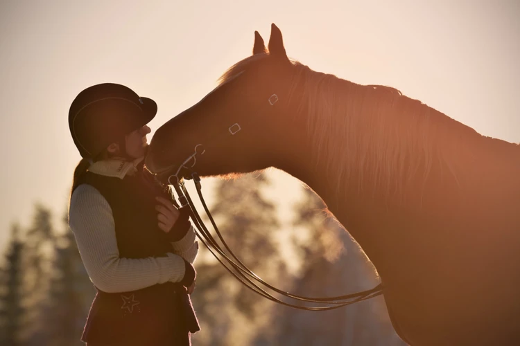 Vanlige Drømmesituasjoner Med Hester Som Guider